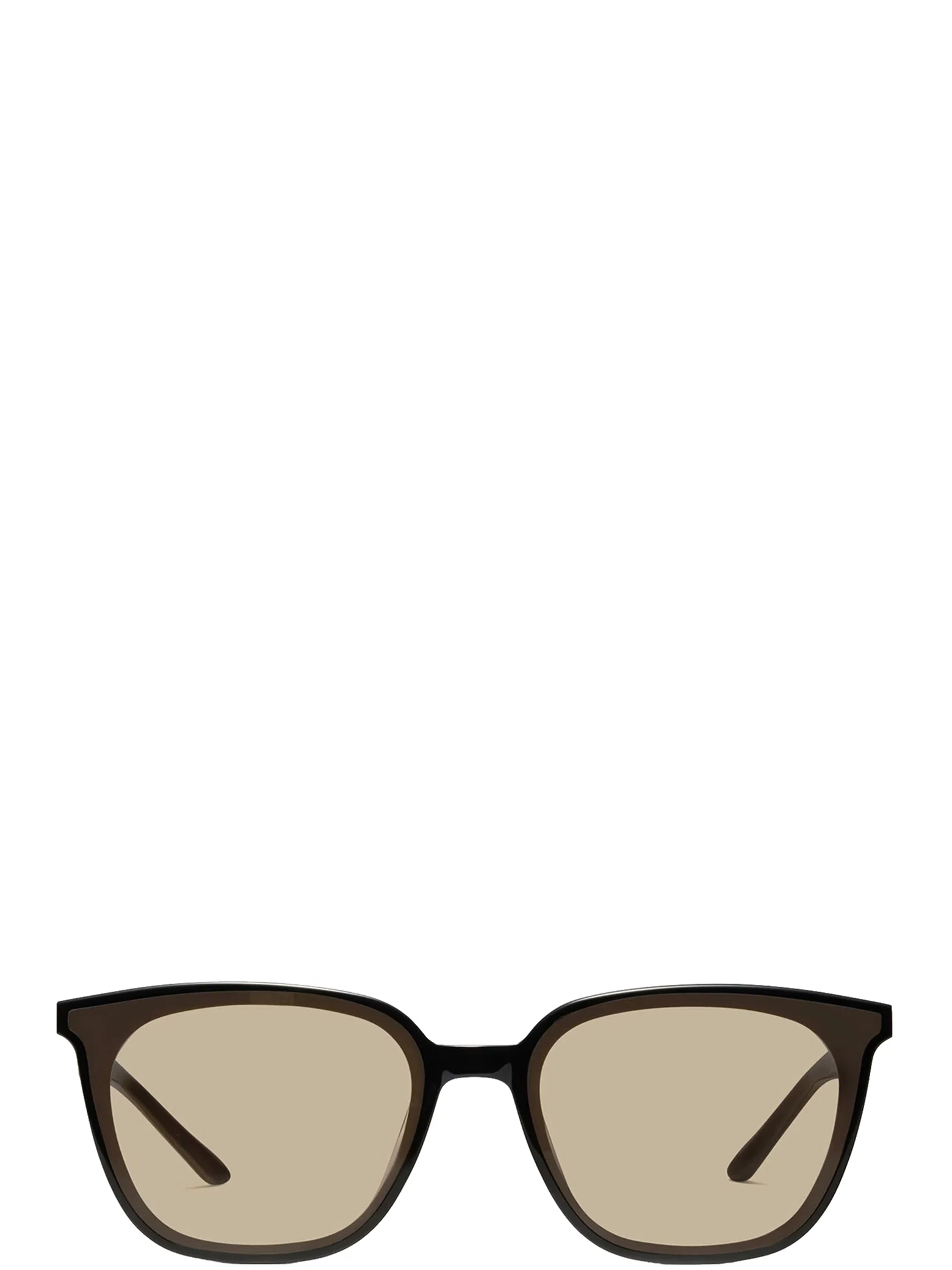 Очки Gentle Monster Alma 01(BR) "Black / Brown" | Farsel