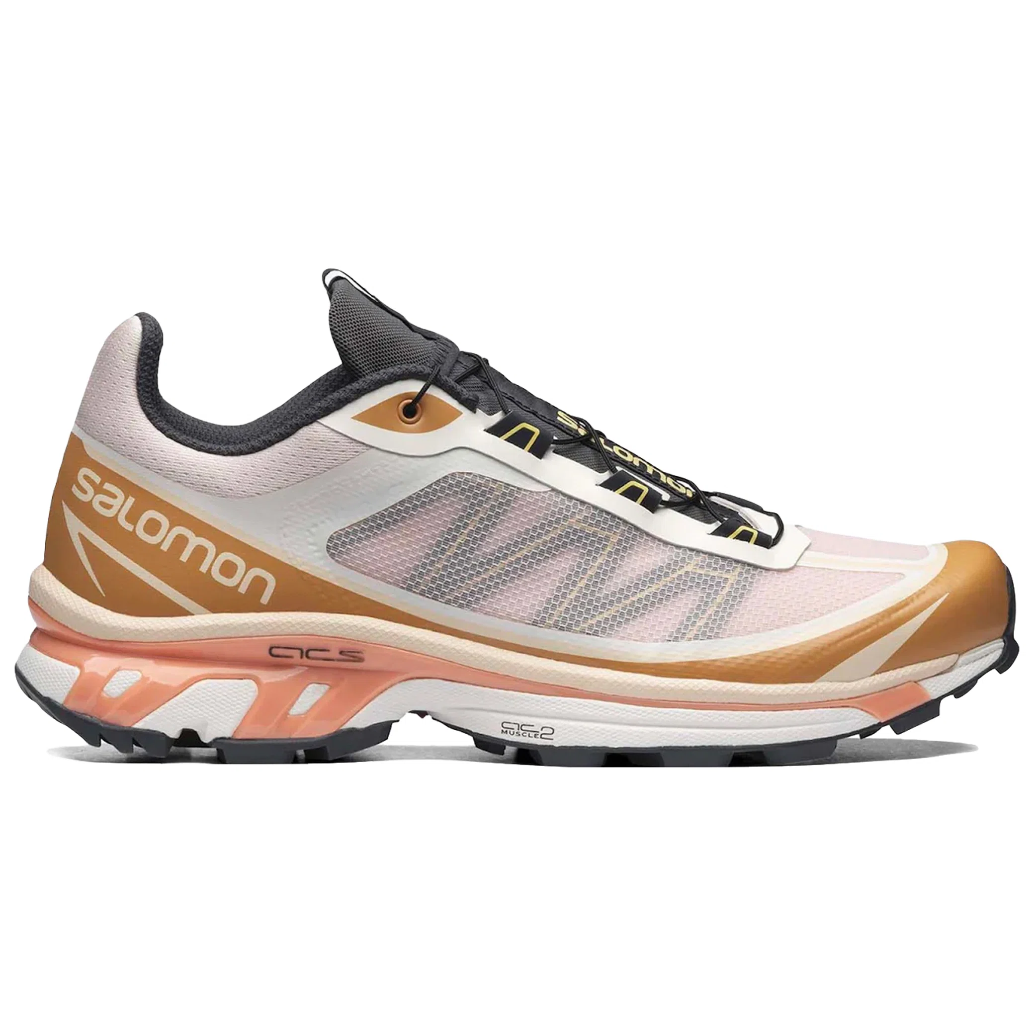 Кроссовки Salomon XT-6 FT "Morganite Fenugreek" | Farsel