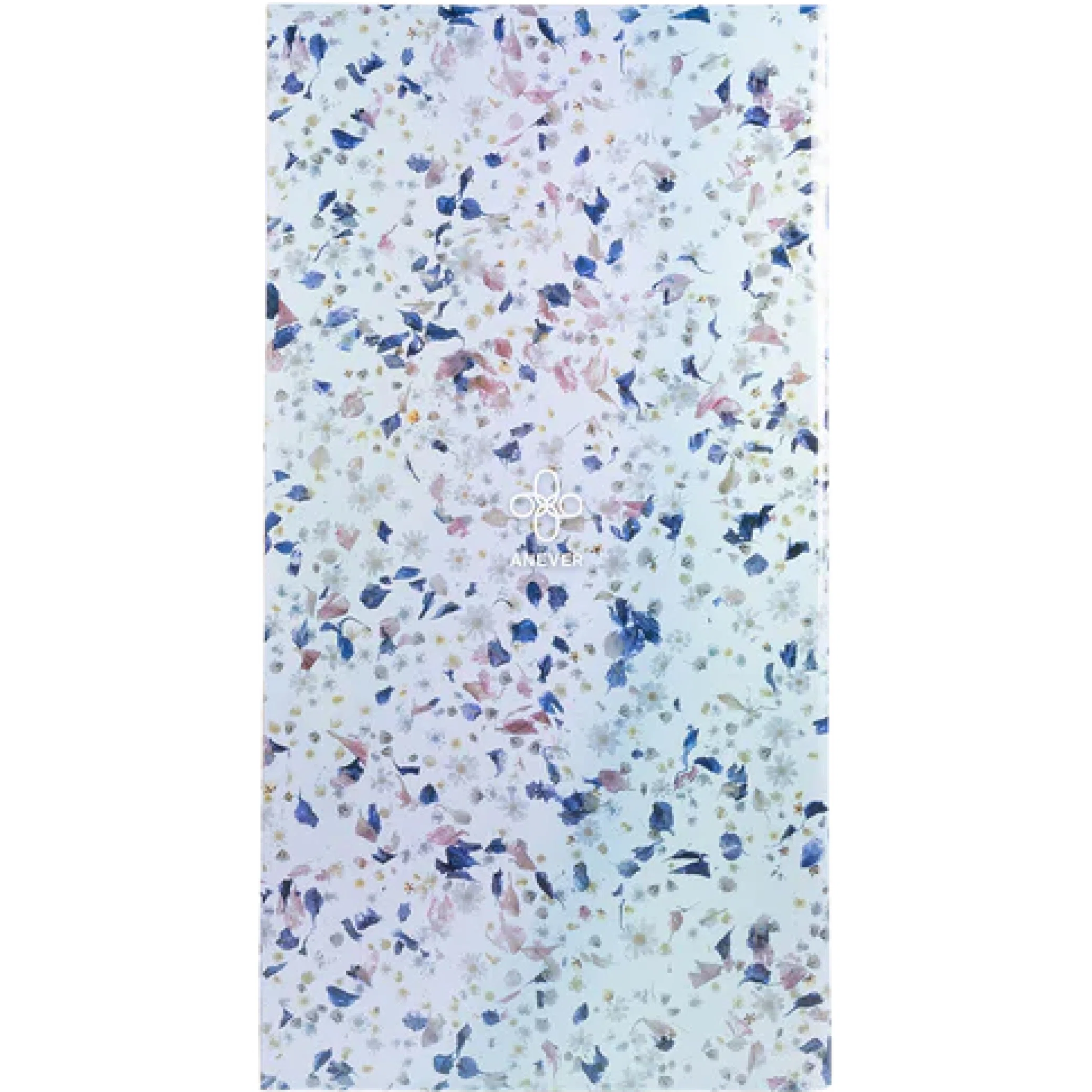  Medicom Toy Bearbrick "Anever 3rd Ver. 1000%" | Farsel