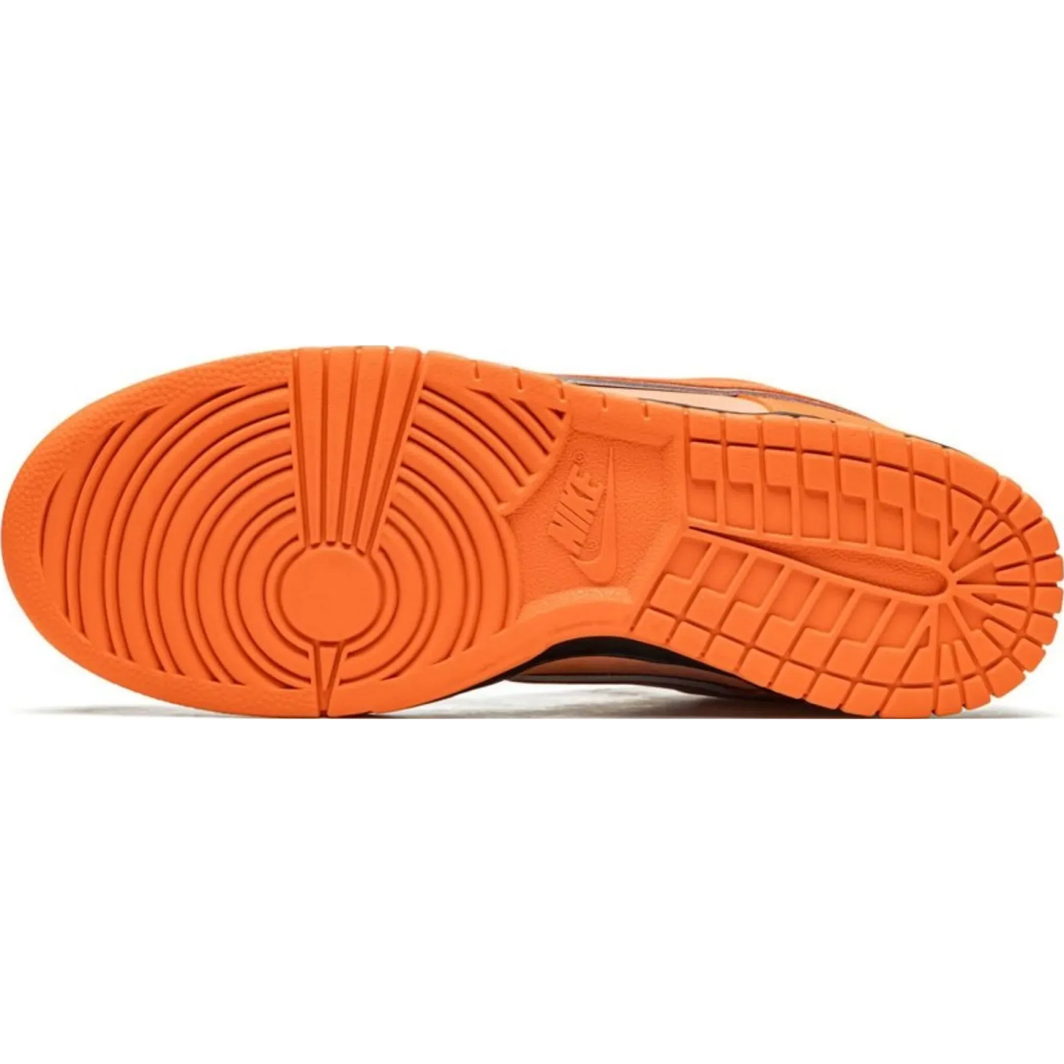  Nike SB Dunk Low "Concepts - Orange Lobster" | Farsel