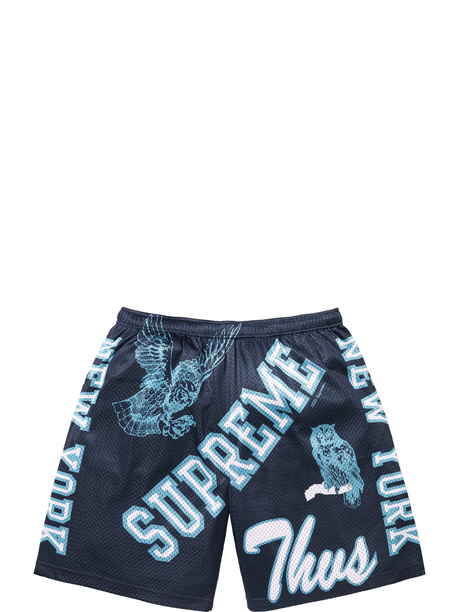 Шорты Supreme SS25 Varsity Mesh Short "Navy" | Farsel