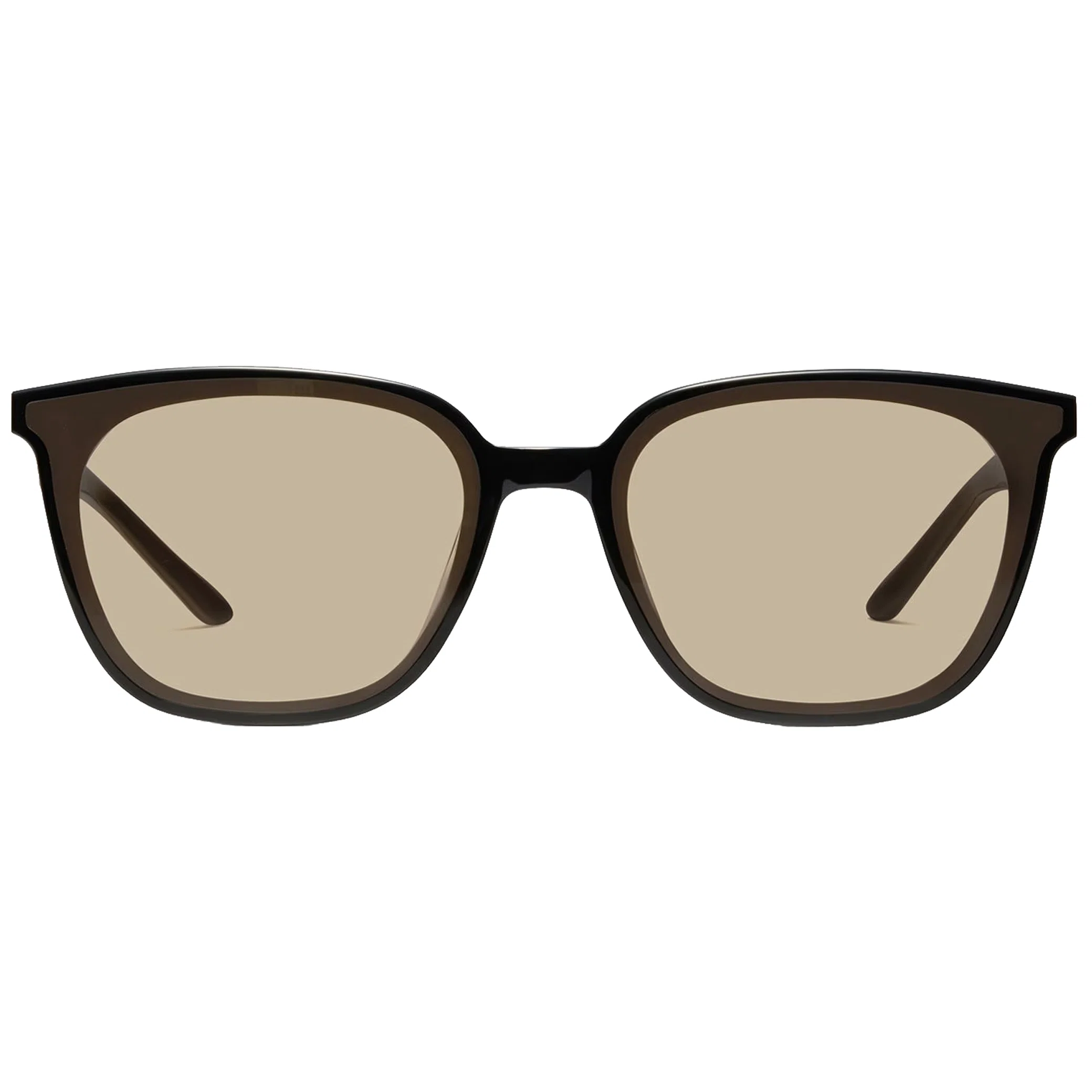 Очки Gentle Monster Alma 01(BR) "Black / Brown" | Farsel