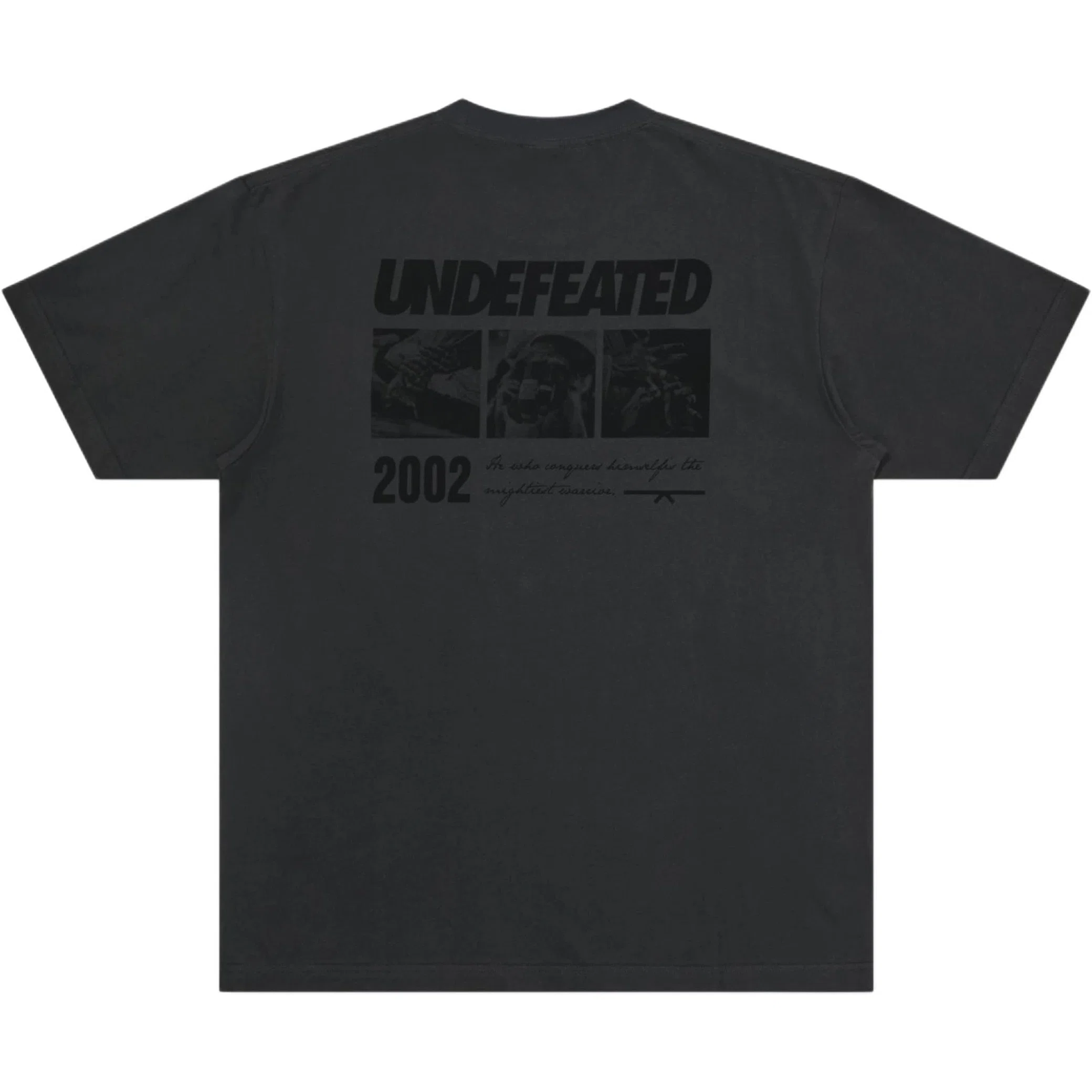 Футболки Undefeated SS26 T-Shirts Crew Neck Straight Fit "Brown Black" | Farsel