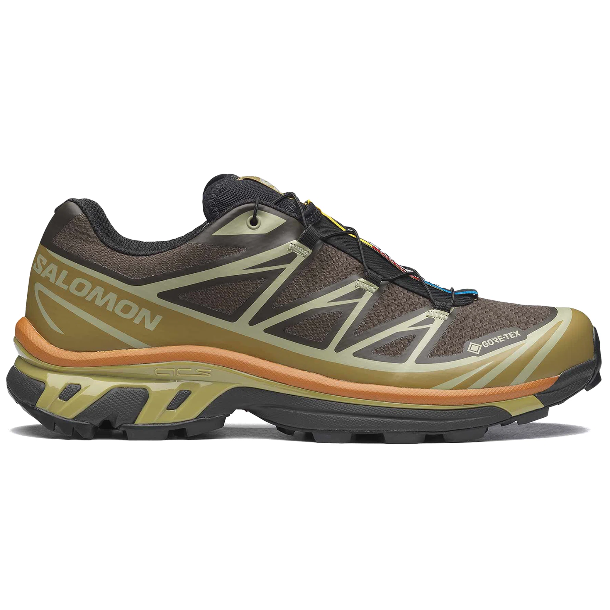 Кроссовки Salomon XT-6 Gore-Tex "Delicioso / Tea / Plantation" | Farsel