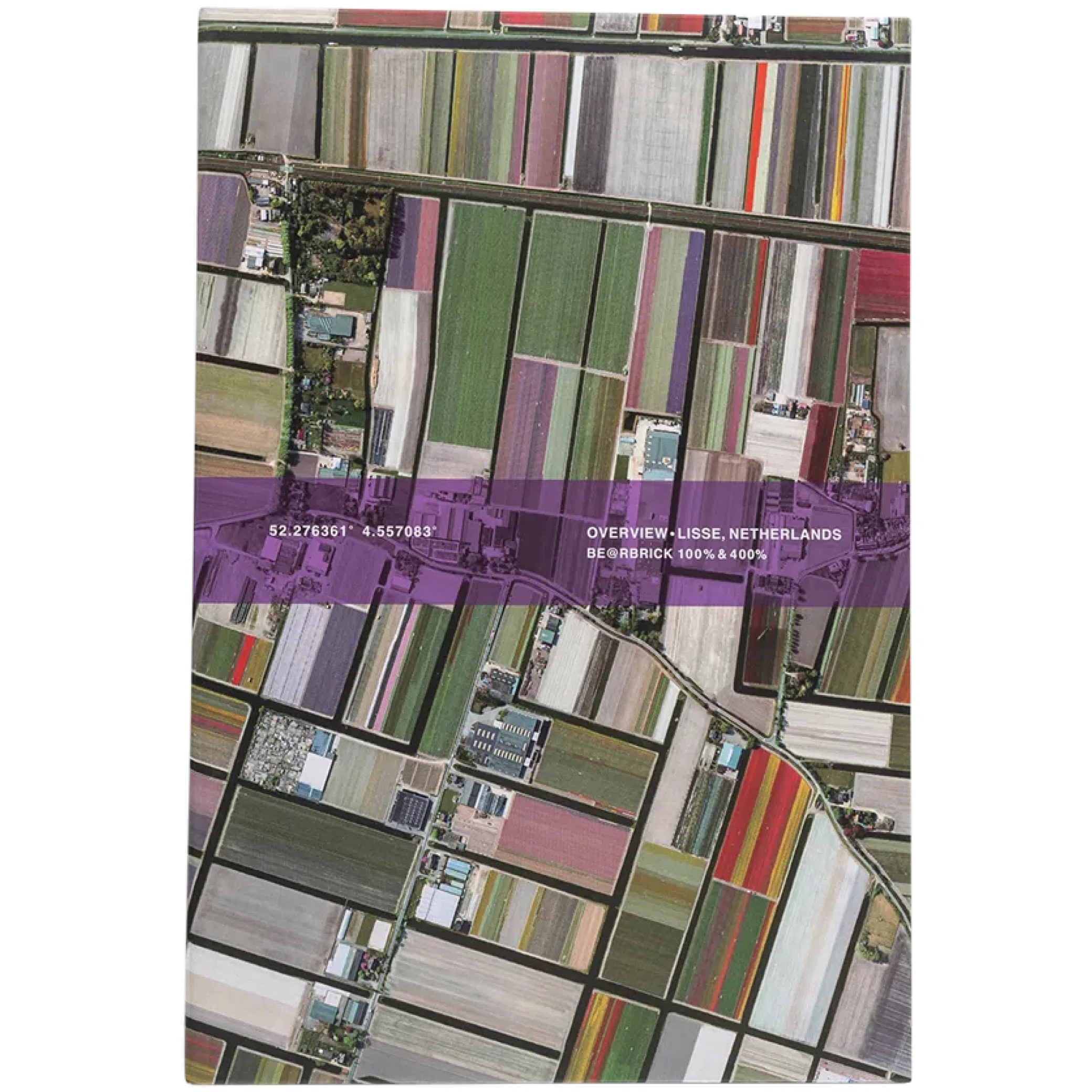  Medicom Toy Bearbrick Benjamin Grant (Overview) Lisse "100% & 400% Set" | Farsel