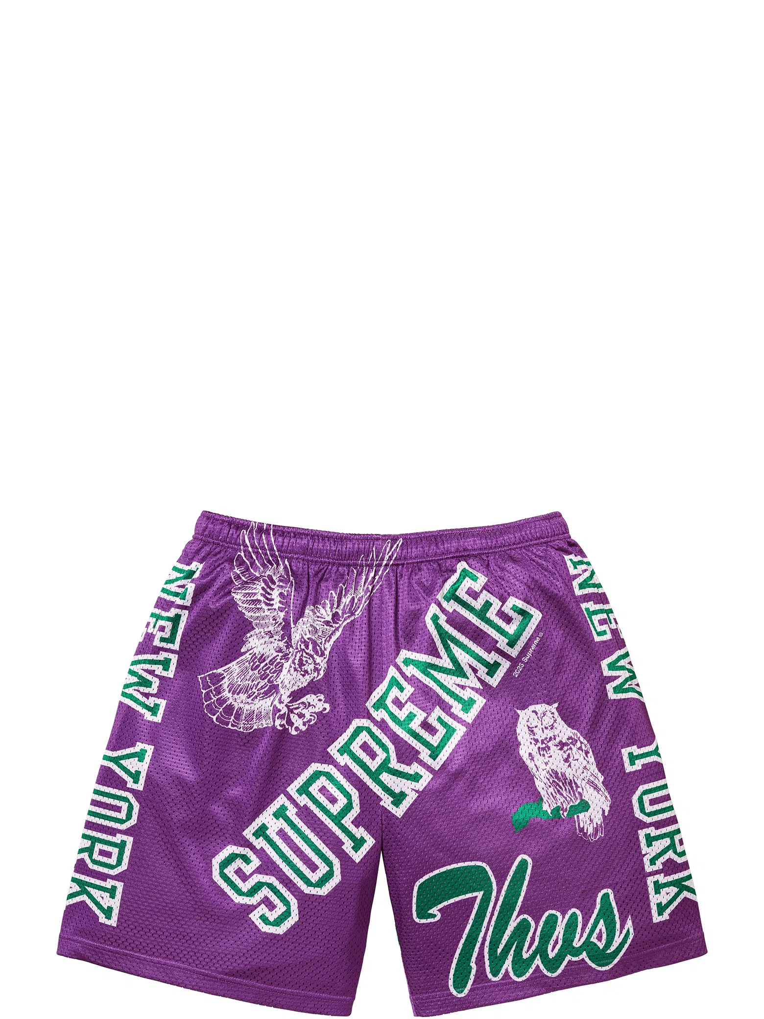 Шорты Supreme SS25 Varsity Mesh Short "Purple" | Farsel
