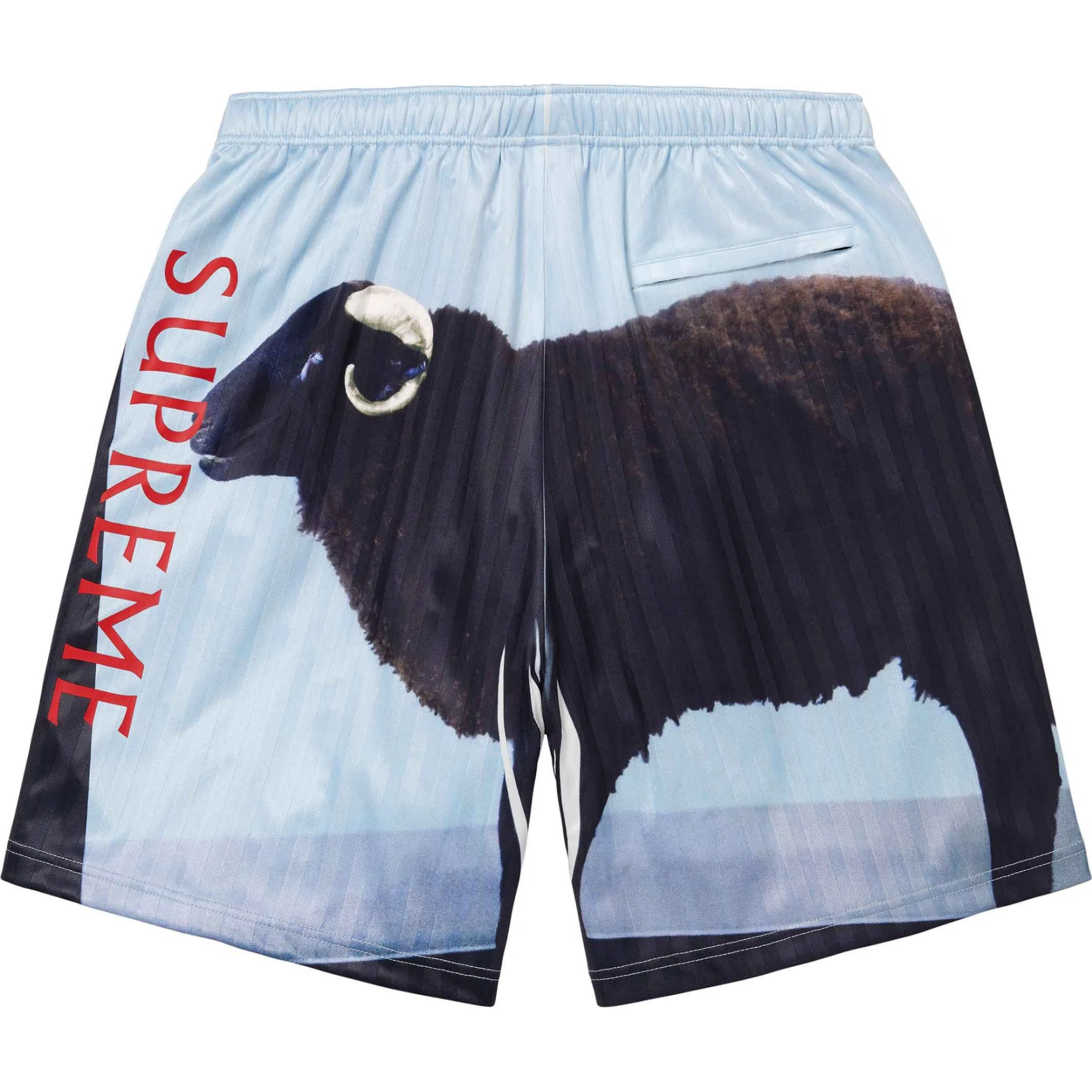  Supreme SS25 Damien Hirst Soccer Short "Black" | Farsel
