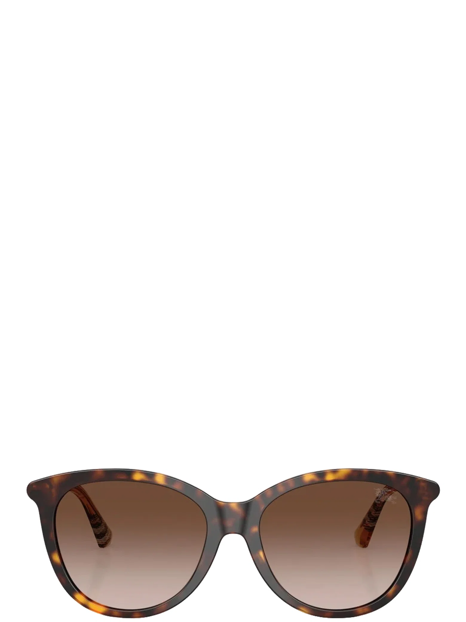 Очки Burberry Phantos "Brown" | Farsel
