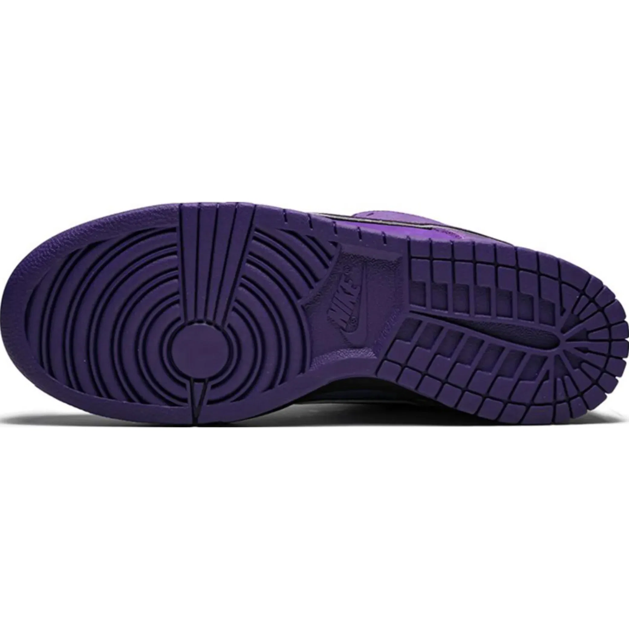 Кроссовки Nike SB Dunk Low "Concepts Purple Lobster" | Farsel