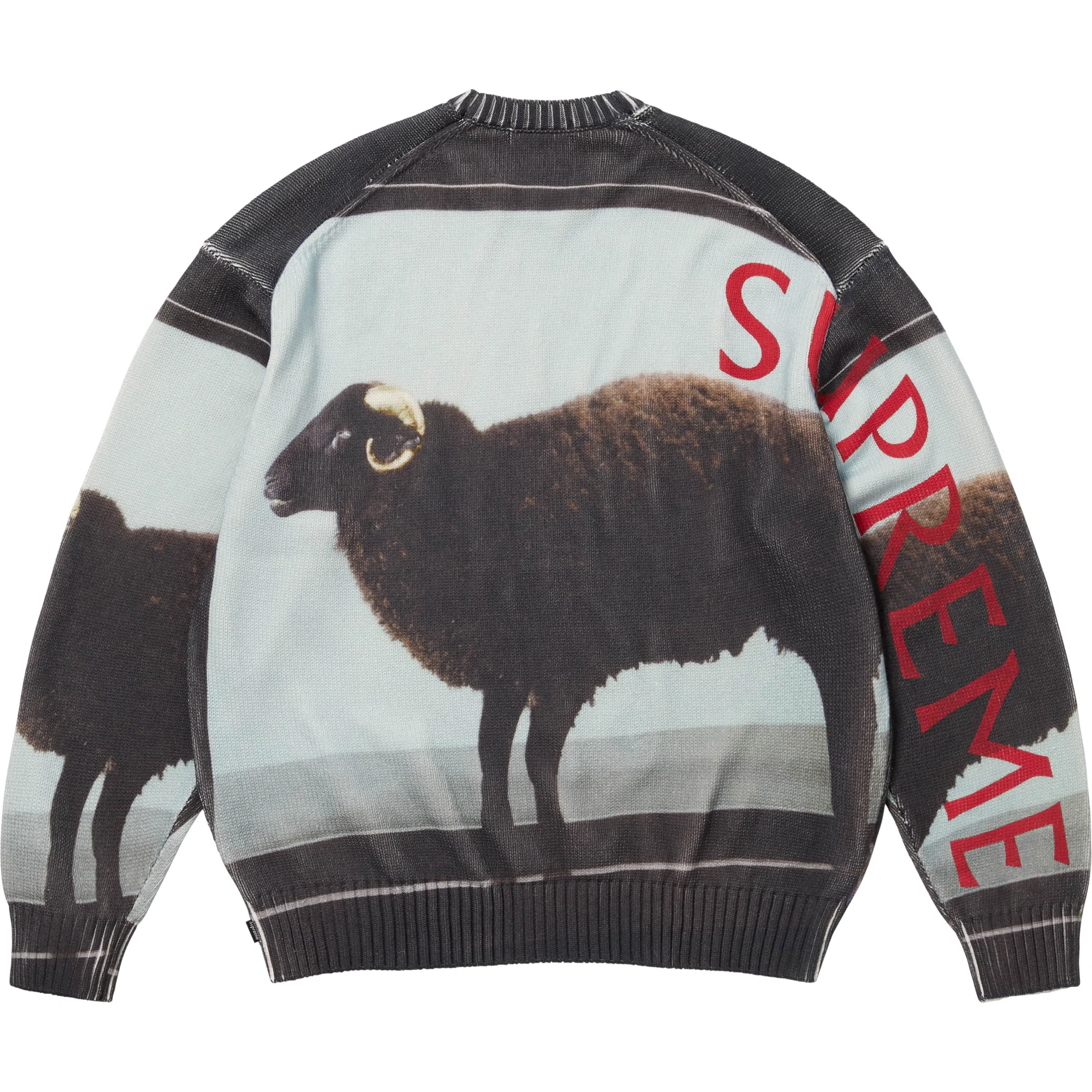Свитеры Supreme SS25 Damien Hirst Sweater "Black" | Farsel