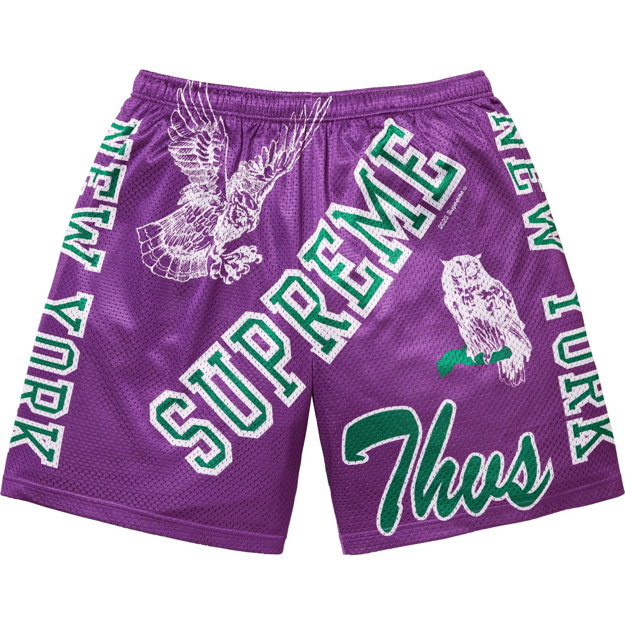 Шорты Supreme SS25 Varsity Mesh Short "Purple" | Farsel