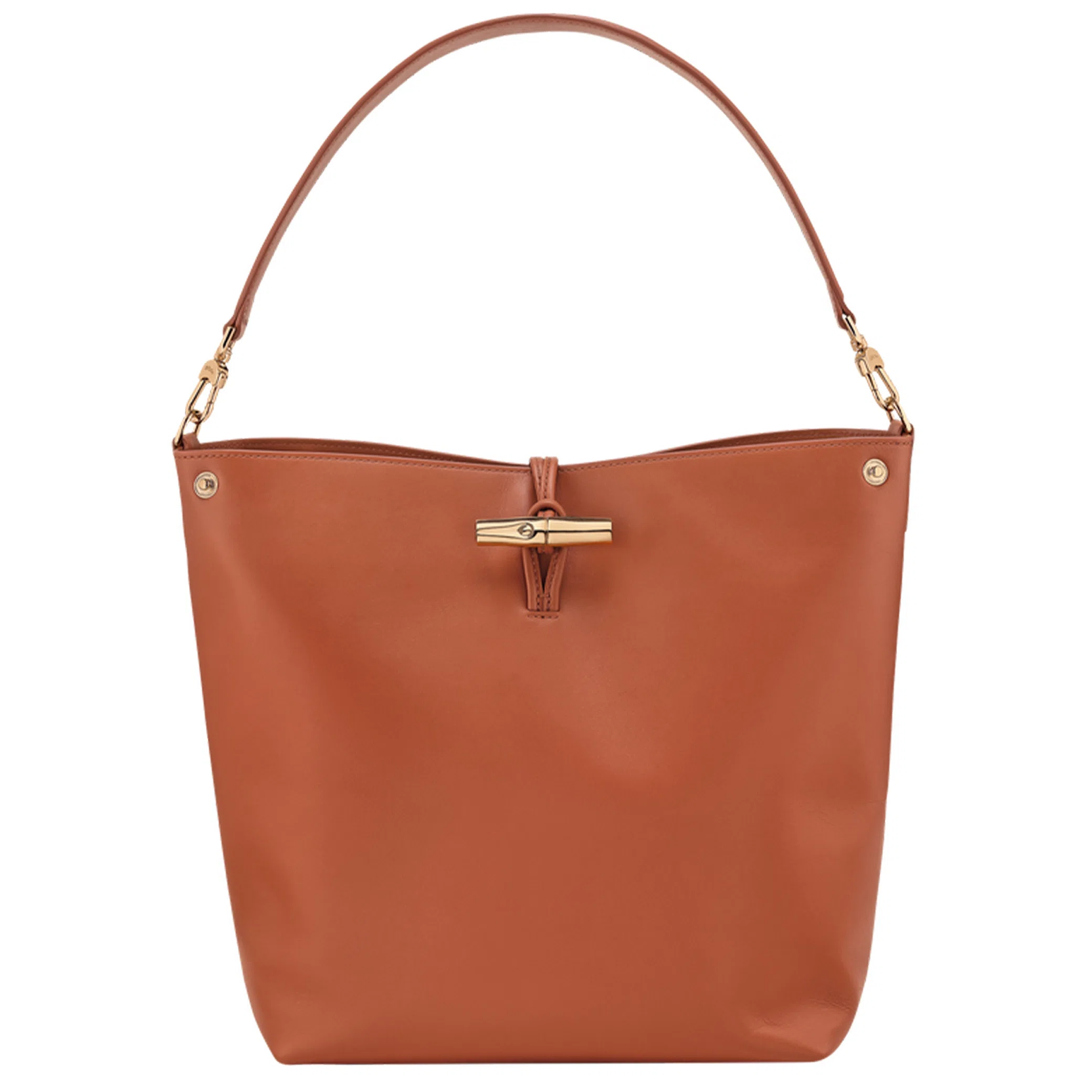 Сумки Longchamp Le Roseau Hobo Bag M "Bark" | Farsel