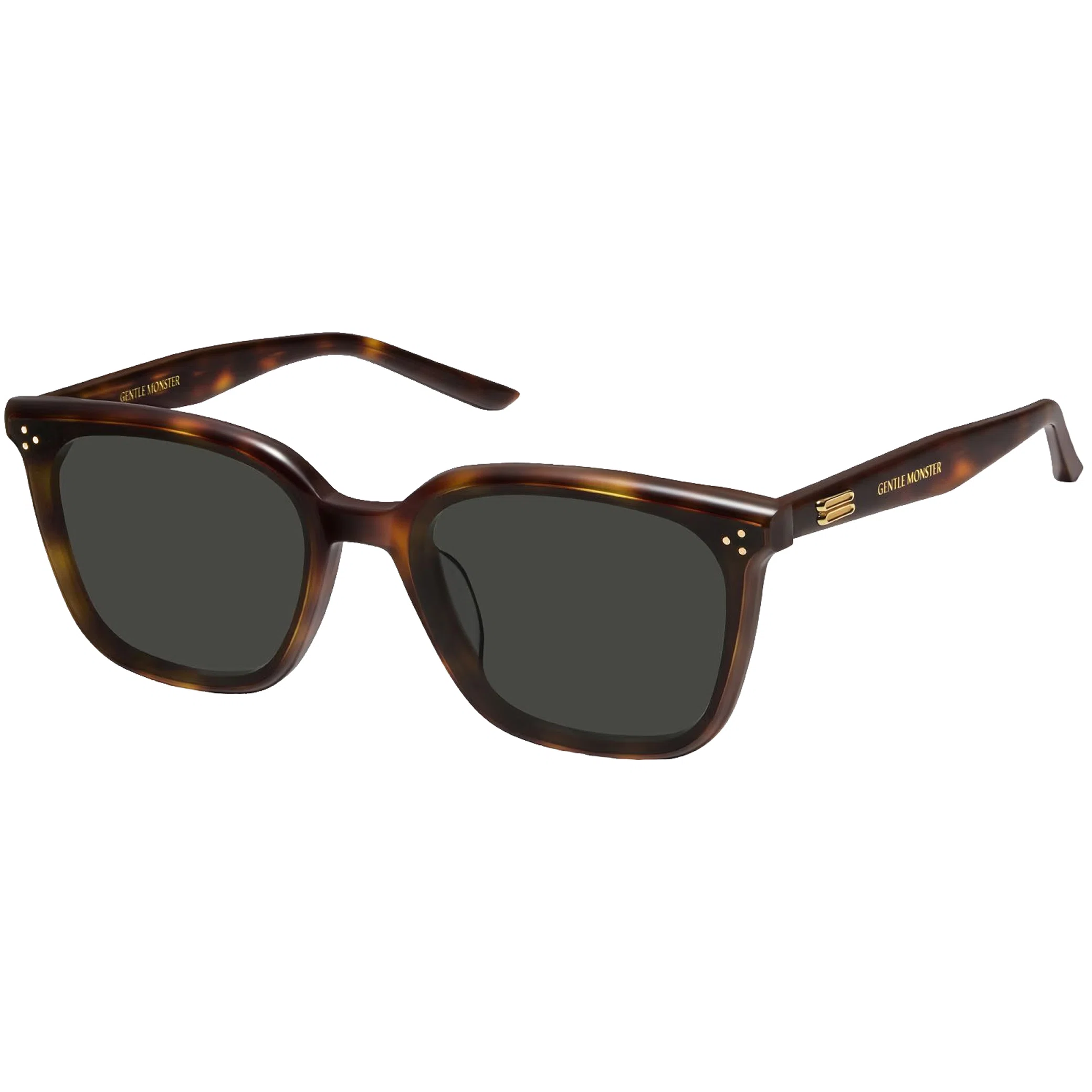 Очки Gentle Monster Lo Lou L2 "Tortoise / Black" | Farsel