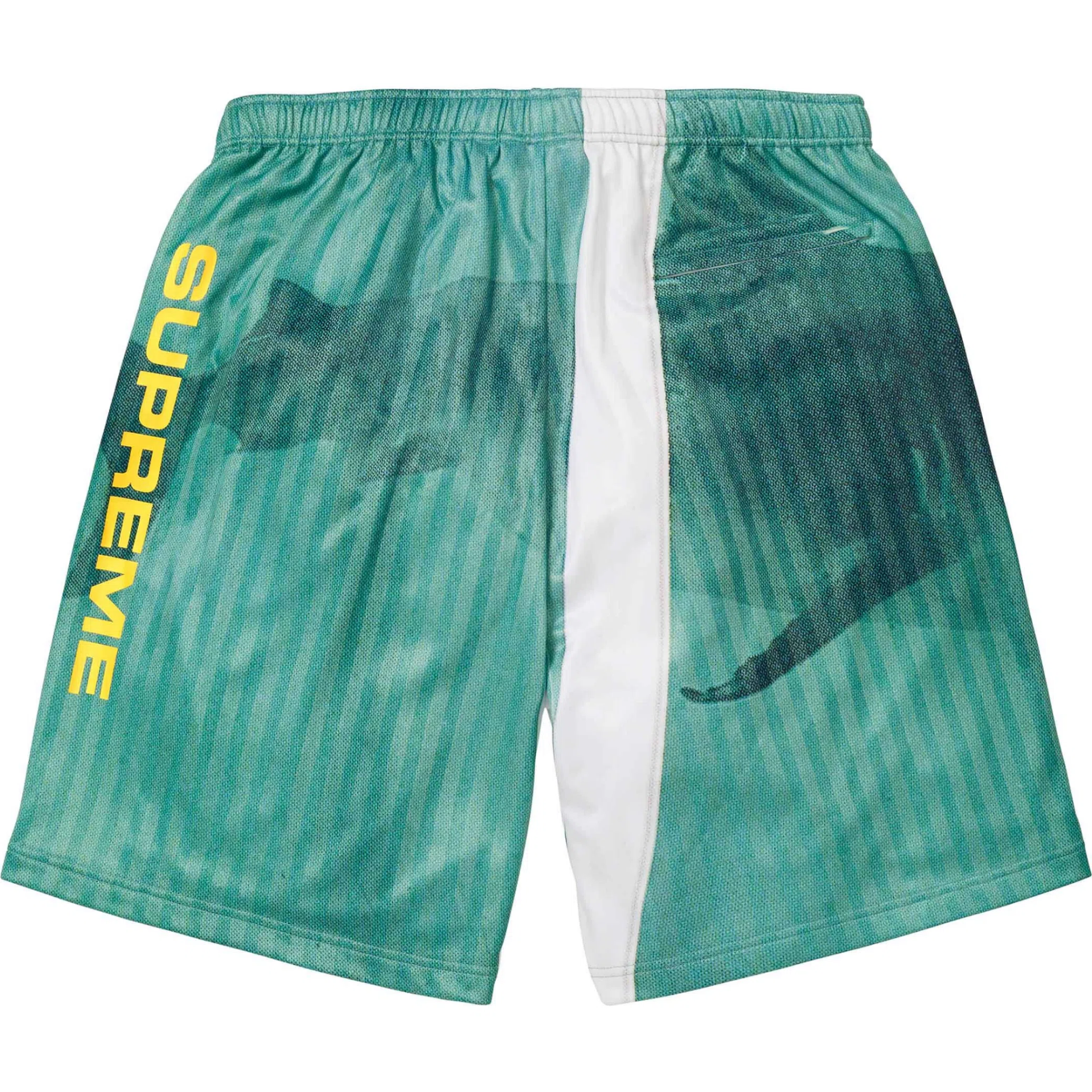 Шорты Supreme SS25 Damien Hirst Soccer Short "White" | Farsel
