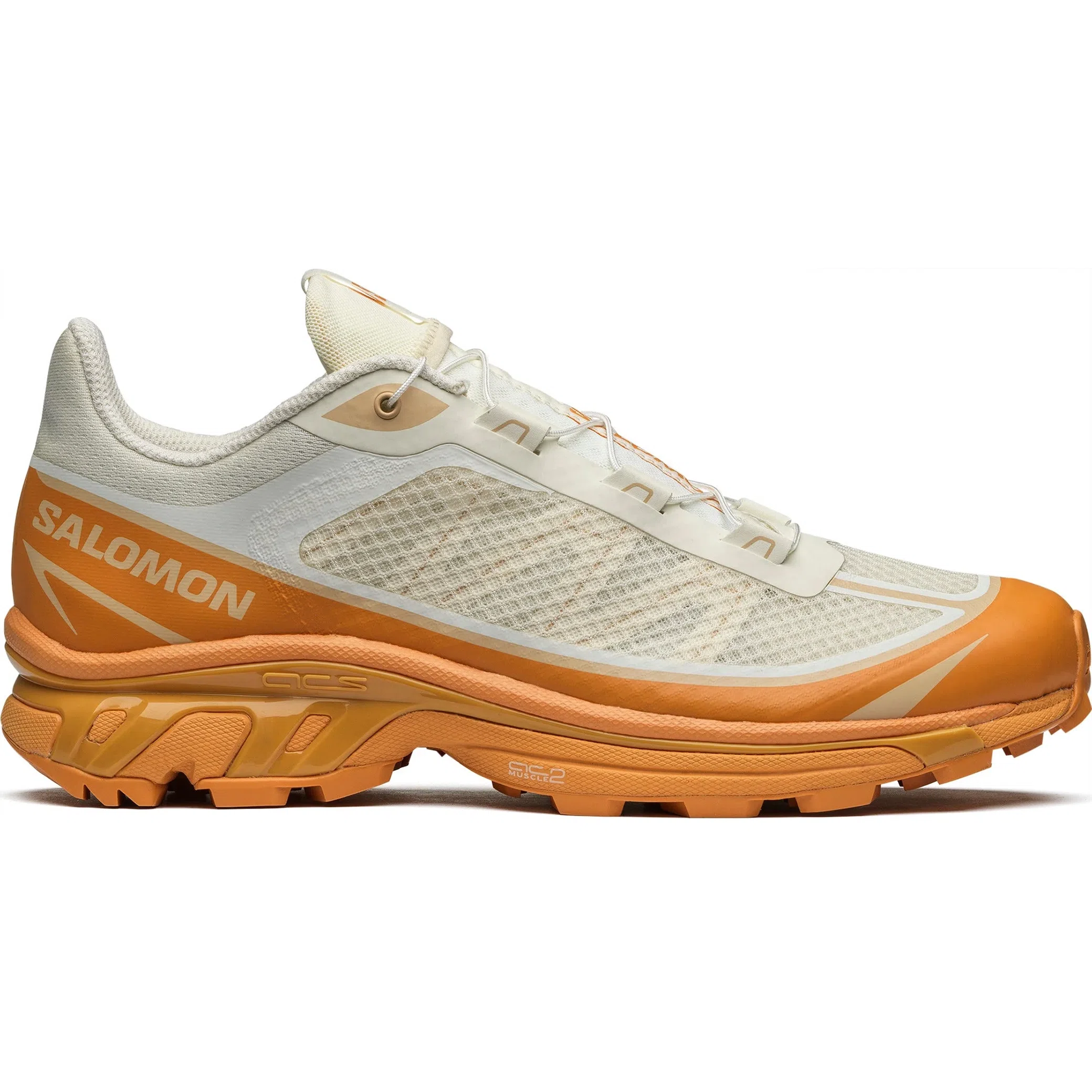 Кроссовки Salomon XT-6 FT "Vanilla Ice / Buckskin Hazelnut" | Farsel